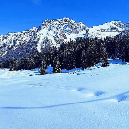 Apartmán Campiglio Trilocale Monte Spinale Madonna Pokoj fotografie